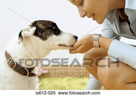 Dog with affectionate owner View Large Photo Image Stock Photography - Dog with affectionate owner. Fotosearch