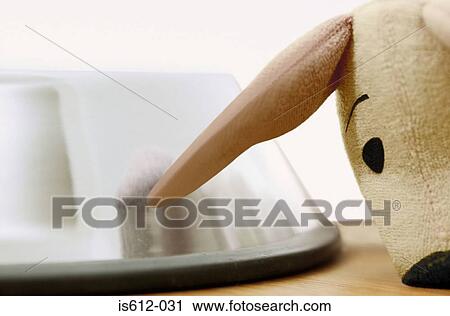 Stock Image - Soft toy next to dog bowl. Fotosearch
