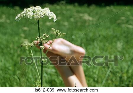 Woman puts feet up in the sun View Large Photo Image Stock Photo - Woman puts feet up in the sun. Fotosearch