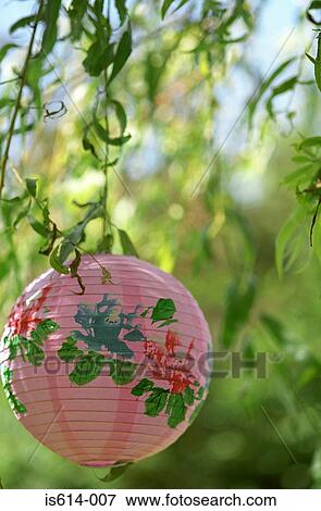 Stock Photo - Paper lampshade among leaves. Fotosearch