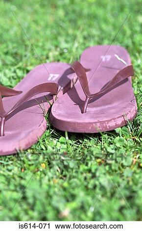 Stock Image - Pink flip-flop rubber sandals.. Fotosearch