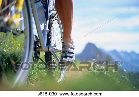 Ground level view of cyclist View Large Photo Image Stock Image - Ground level view of cyclist. Fotosearch