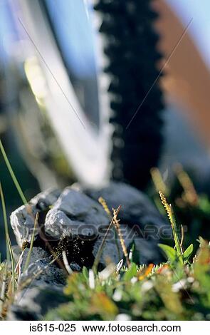 Stock Photography - Mountain bike tyre close-up.. Fotosearch