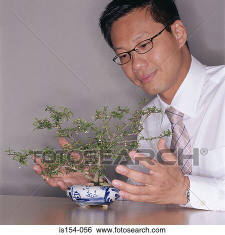 Stock Photograph - Businessman trimming bonsai tree. Fotosearch