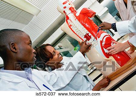 Medical students View Large Photo Image Stock Photo - Medical students. Fotosearch