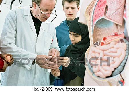 Medical students View Large Photo Image Stock Photo - Medical students. Fotosearch