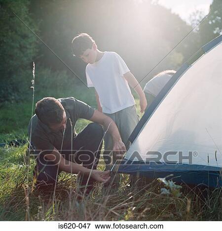 Father and son erecting a tent View Large Photo Image Stock Photo - Father and son erecting a tent. Fotosearch