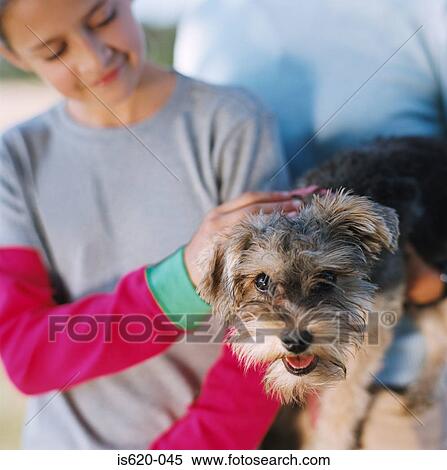 Girl stroking a terrier View Large Photo Image Stock Photography - Girl stroking a terrier. Fotosearch