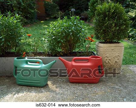 A pair of watering cans in garden View Large Photo Image Picture - A pair of watering cans in garden. Fotosearch