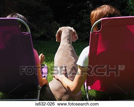 People stroking dog in garden View Large Photo Image Stock Photograph - People stroking dog in garden. Fotosearch