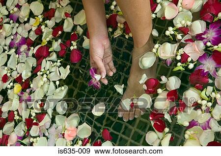 Petals floating in bathtub View Large Photo Image Stock Photo - Petals floating in bathtub. Fotosearch