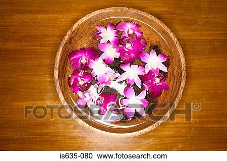 Stock Image - Petals in bowl of water. Fotosearch
