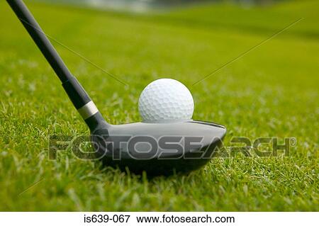 Golf ball and putter View Large Photo Image Stock Photo - Golf ball and putter. Fotosearch