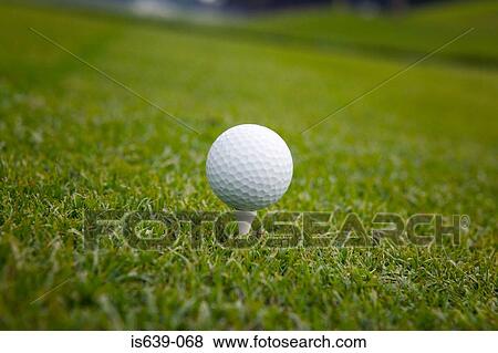 Golf ball on tee View Large Photo Image Stock Photo - Golf ball on tee. Fotosearch