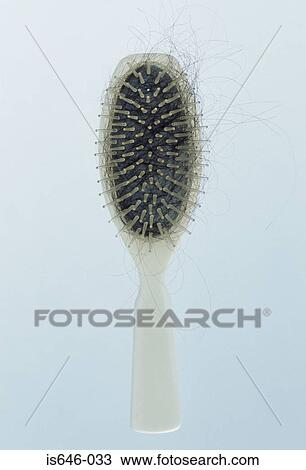 Hairbrush with hair on View Large Photo Image Stock Image - Hairbrush with hair on. Fotosearch