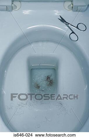 Pubic hair in a toilet bowl View Large Photo Image Picture - Pubic hair in a toilet bowl. Fotosearch