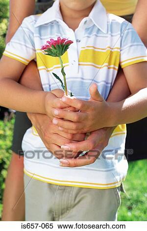 Mother and son holding flower View Large Photo Image Stock Photography - Mother and son holding flower. Fotosearch