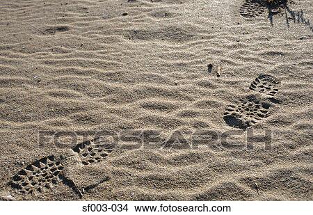 Footprints in the sand View Large Photo Image Picture - Footprints in the sand. Fotosearch