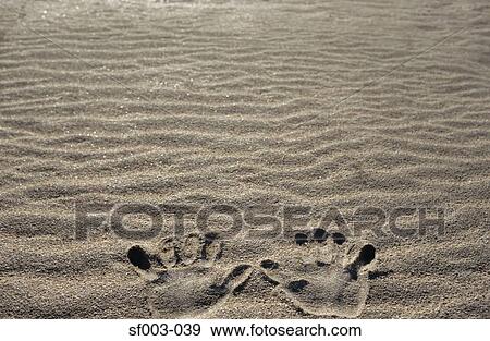 Handprints in the sand View Large Photo Image Stock Photo - Handprints in the sand. Fotosearch