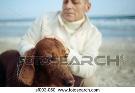 Senior man stroking dog View Large Photo Image Stock Image - Senior man stroking dog. Fotosearch