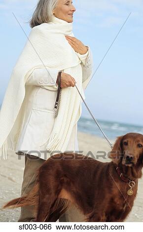 Senior woman and brown dog View Large Photo Image Stock Photograph - Senior woman and brown dog. Fotosearch