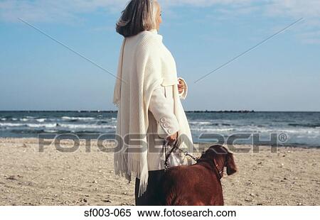 Senior woman walking dog at the beach View Large Photo Image Stock Photography - Senior woman walking dog at the beach. Fotosearch