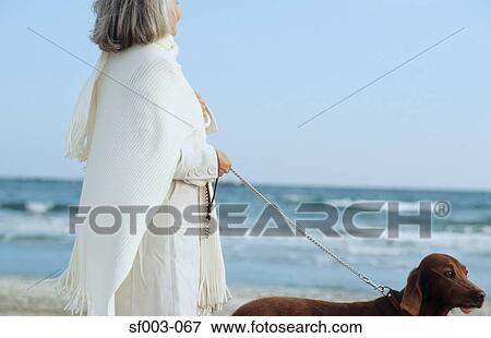 Stock Photo - Senior woman walking dog by the sea . Fotosearch