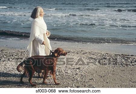 Senior woman walking dog by the sea View Large Photo Image Stock Photo - Senior woman walking dog by the sea. Fotosearch