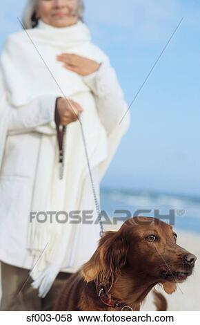 Stock Photo - Senior woman walking dog. Fotosearch
