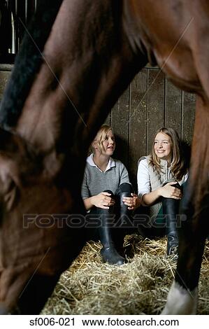 A horse in front of two women in a stable View Large Photo Image Stock Image - A horse in front of two women in a stable. Fotosearch