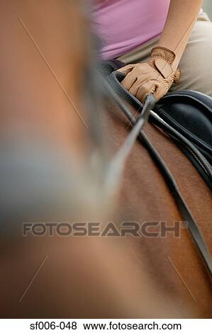 Horse and rider View Large Photo Image Stock Photo - Horse and rider. Fotosearch
