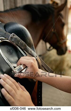 Person putting a saddle on a horse View Large Photo Image Stock Photograph - Person putting a saddle on a horse. Fotosearch
