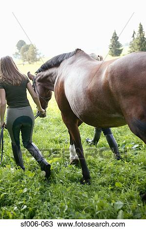 Rear view of two people leading a horse View Large Photo Image Stock Image - Rear view of two people leading a horse. Fotosearch