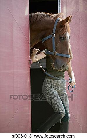 Woman leading horse out of stable View Large Photo Image Stock Image - Woman leading horse out of stable. Fotosearch
