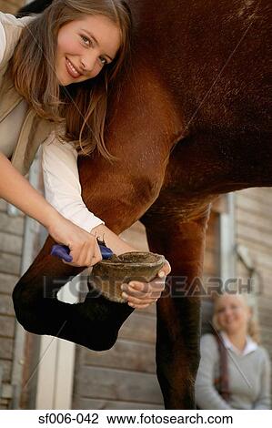 Young woman cleaning horse's hoof View Large Photo Image Stock Image - Young woman cleaning horse's hoof. Fotosearch