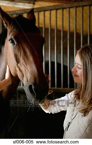 Young woman stroking horse's face View Large Photo Image Stock Photography - Young woman stroking horse's face. Fotosearch