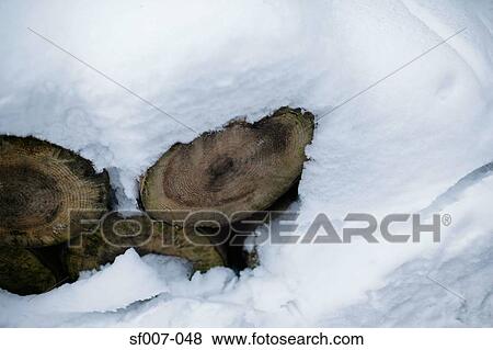 Stock Photo - Snow-covered logs. Fotosearch