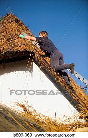 Thatched roof installation View Large Photo Image Stock Photo - Thatched roof installation. Fotosearch