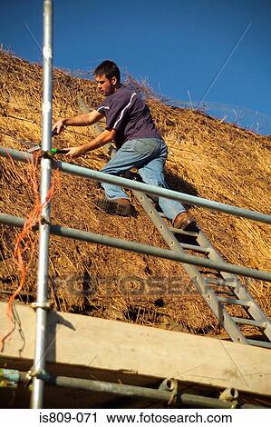 Thatched roof trimming View Large Photo Image Stock Image - Thatched roof trimming. Fotosearch