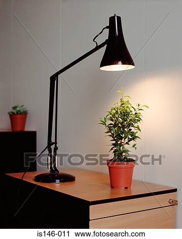 Stock Image - Plant and desk lamp in office. Fotosearch