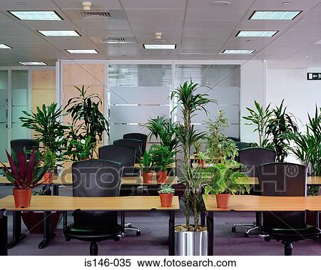 Plants in empty office View Large Photo Image Stock Photography - Plants in empty office. Fotosearch