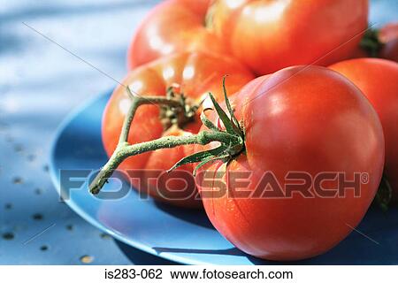 A plate of tomatoes View Large Photo Image Stock Image - A plate of tomatoes. Fotosearch
