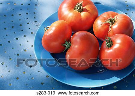 A plate of tomatoes View Large Photo Image Stock Photo - A plate of tomatoes. Fotosearch