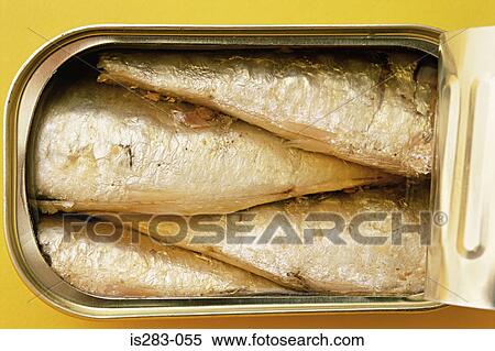 Stock Photography - Close-up of sardines in a tin. Fotosearch