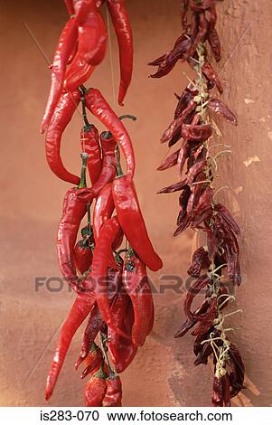 Drying and dried chillies View Large Photo Image Stock Image - Drying and dried chillies. Fotosearch