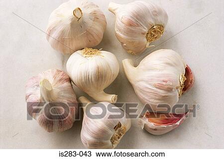 Stock Image - Garlic. Fotosearch