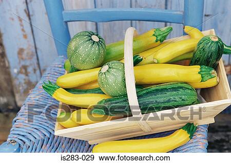 Stock Photo - Green and yellow courgettes. Fotosearch