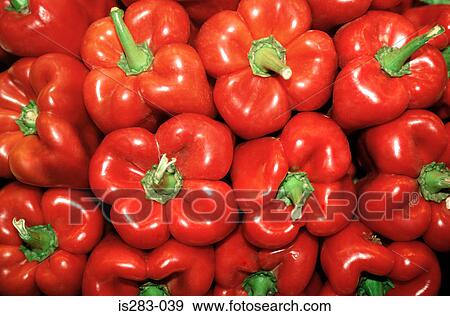 Red peppers View Large Photo Image Stock Photo - Red peppers. Fotosearch