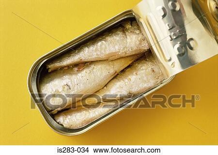 Sardines in a tin View Large Photo Image Picture - Sardines in a tin. Fotosearch
