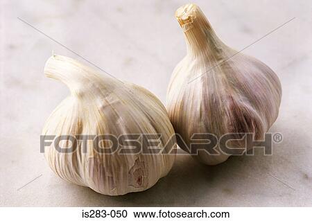 Two bulbs of garlic View Large Photo Image Stock Image - Two bulbs of garlic. Fotosearch